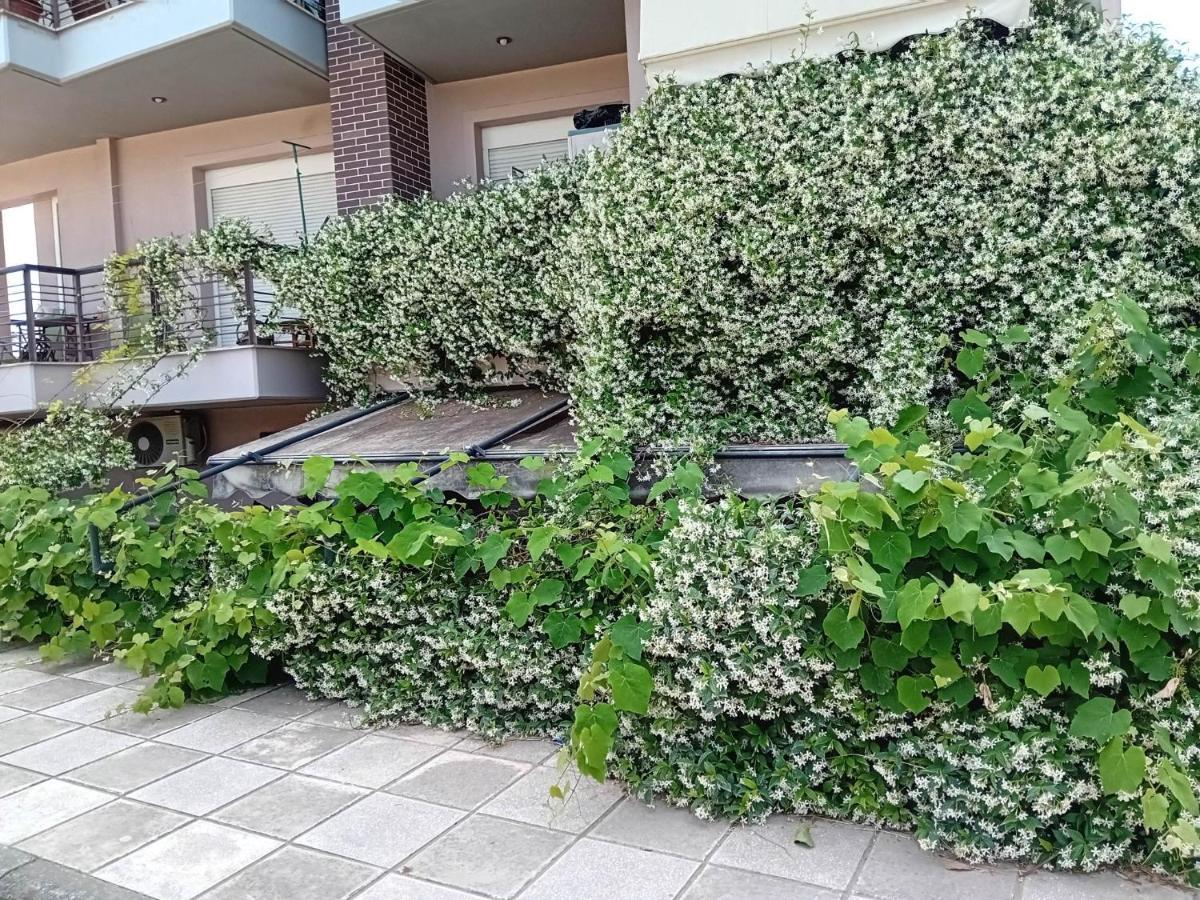 Stella'S Jasmine Leilighet Thessaloníki Eksteriør bilde